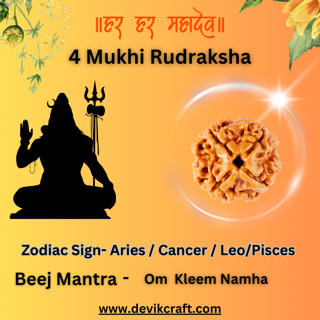 Natural 4 Mukhi Rudraksha - Genuine Spiritual Bead with Certification