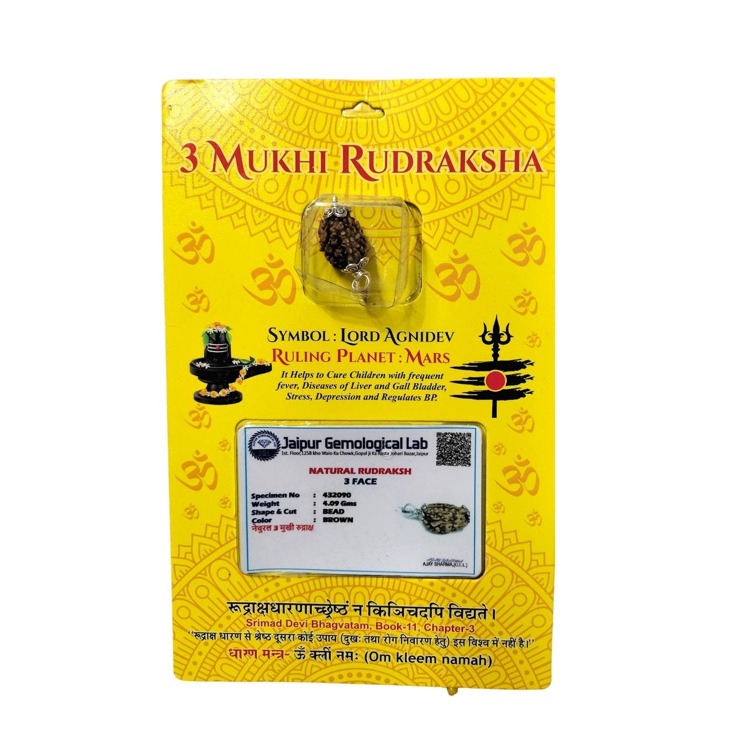 Magical 3 Mukhi Lab Certified Siddha Rudraksha - Enhance Spiritual Energy
