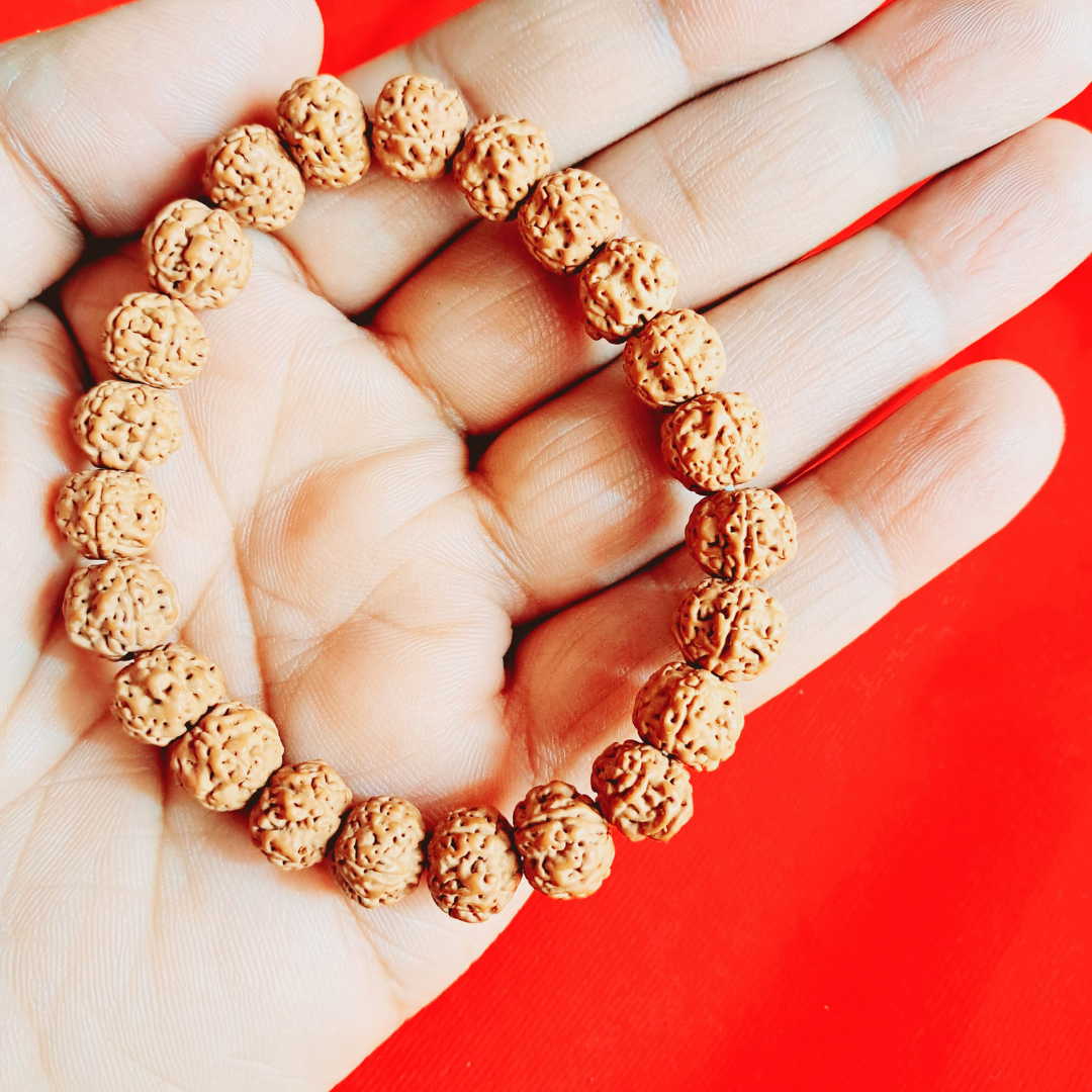 Magical Narmadeswar Mala Energized Rudraksha Necklace with Free Bracelet
