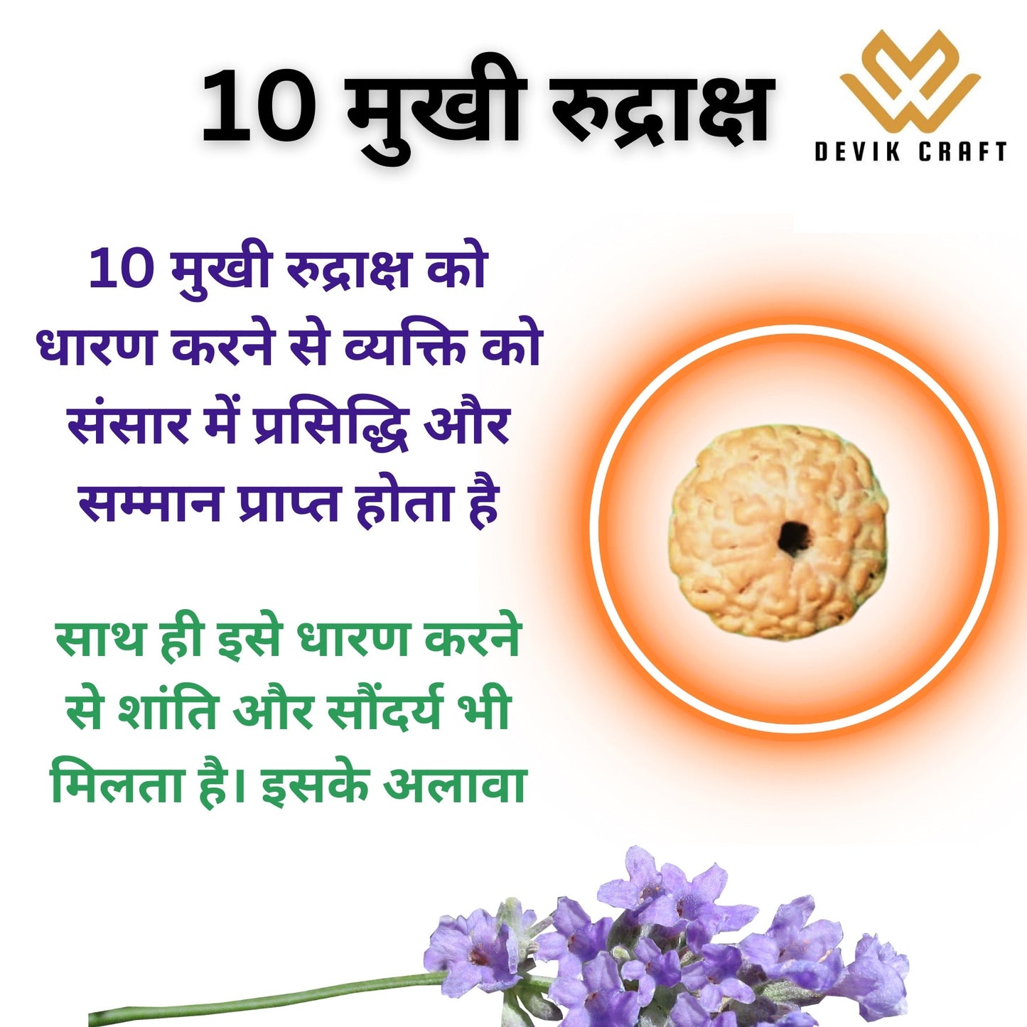 10 Mukhi Lab Certified Rudraksha