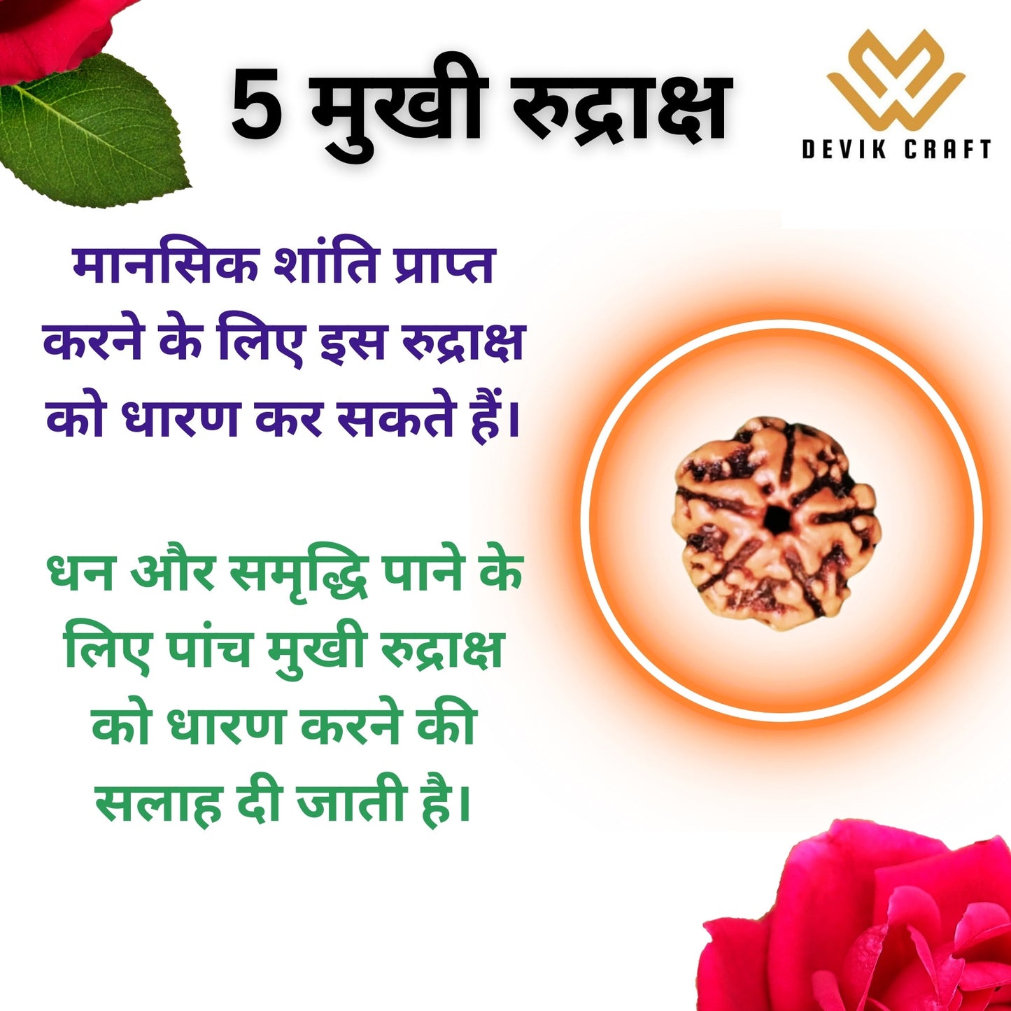 5 Mukhi Rudraksha - Certified Pure Siddha Bead