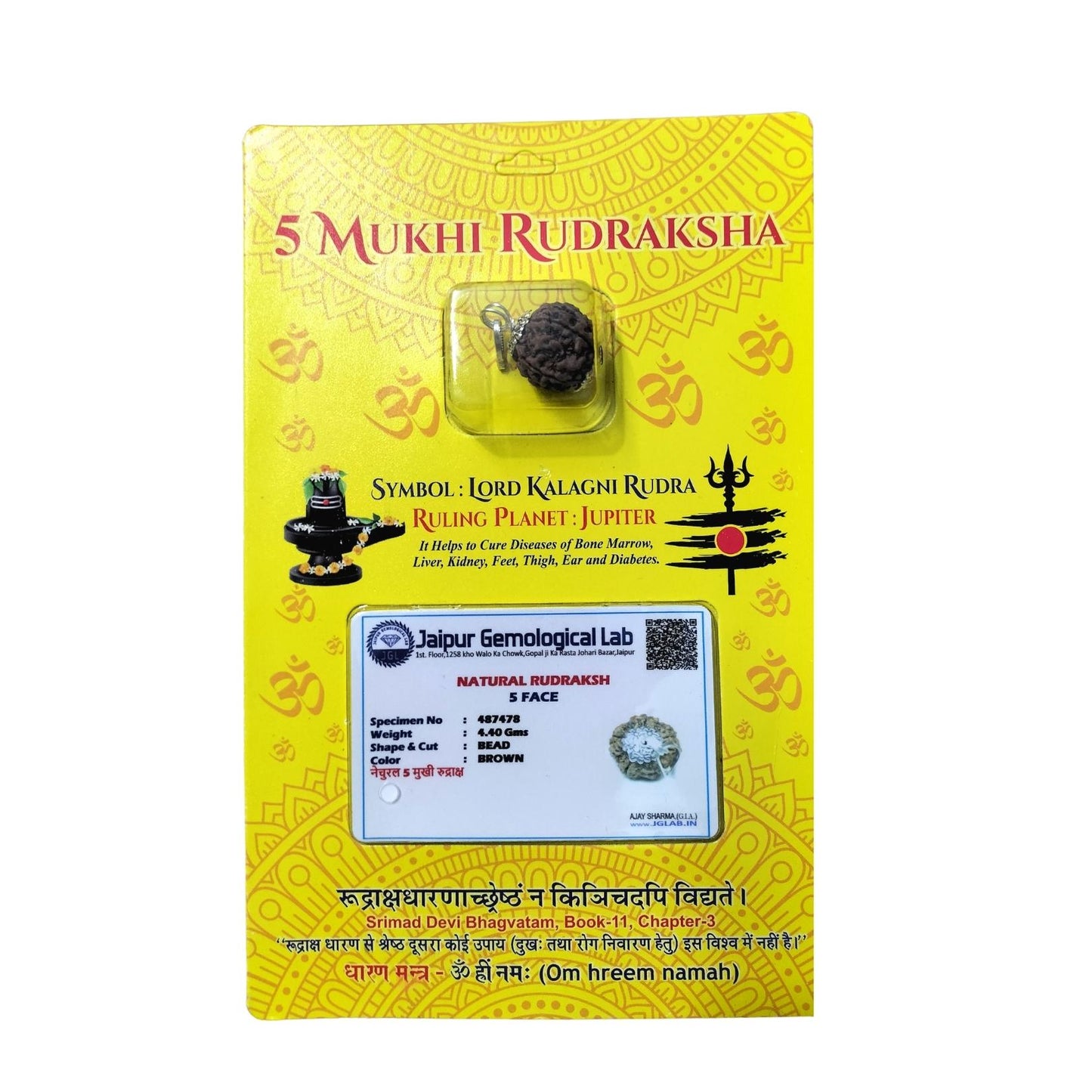 Original 5 Mukhi Nepali Rudraksha Lab Certifiedwith Kuber Potli for Home, Shop, Business, Factory, Money Growth, Business Growth, Prosperity and Financial Success