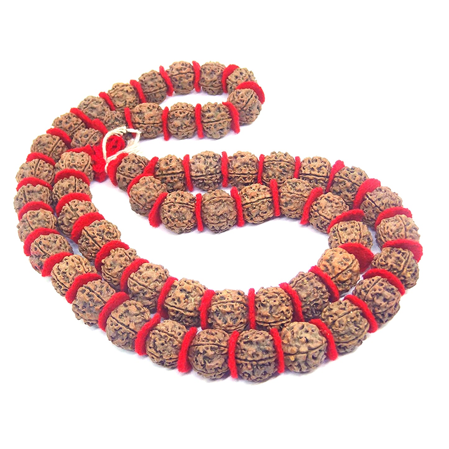 5 Mukhi Rudraksha