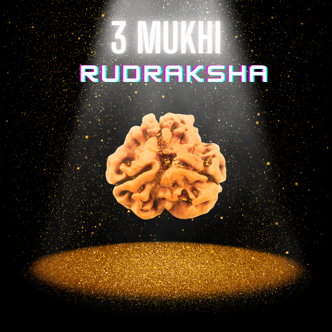 Magical 3 Mukhi Lab Certified Siddha Rudraksha - Enhance Spiritual Energy