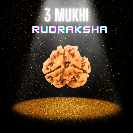 Magical 3 Mukhi Lab Certified Siddha Rudraksha - Enhance Spiritual Energy