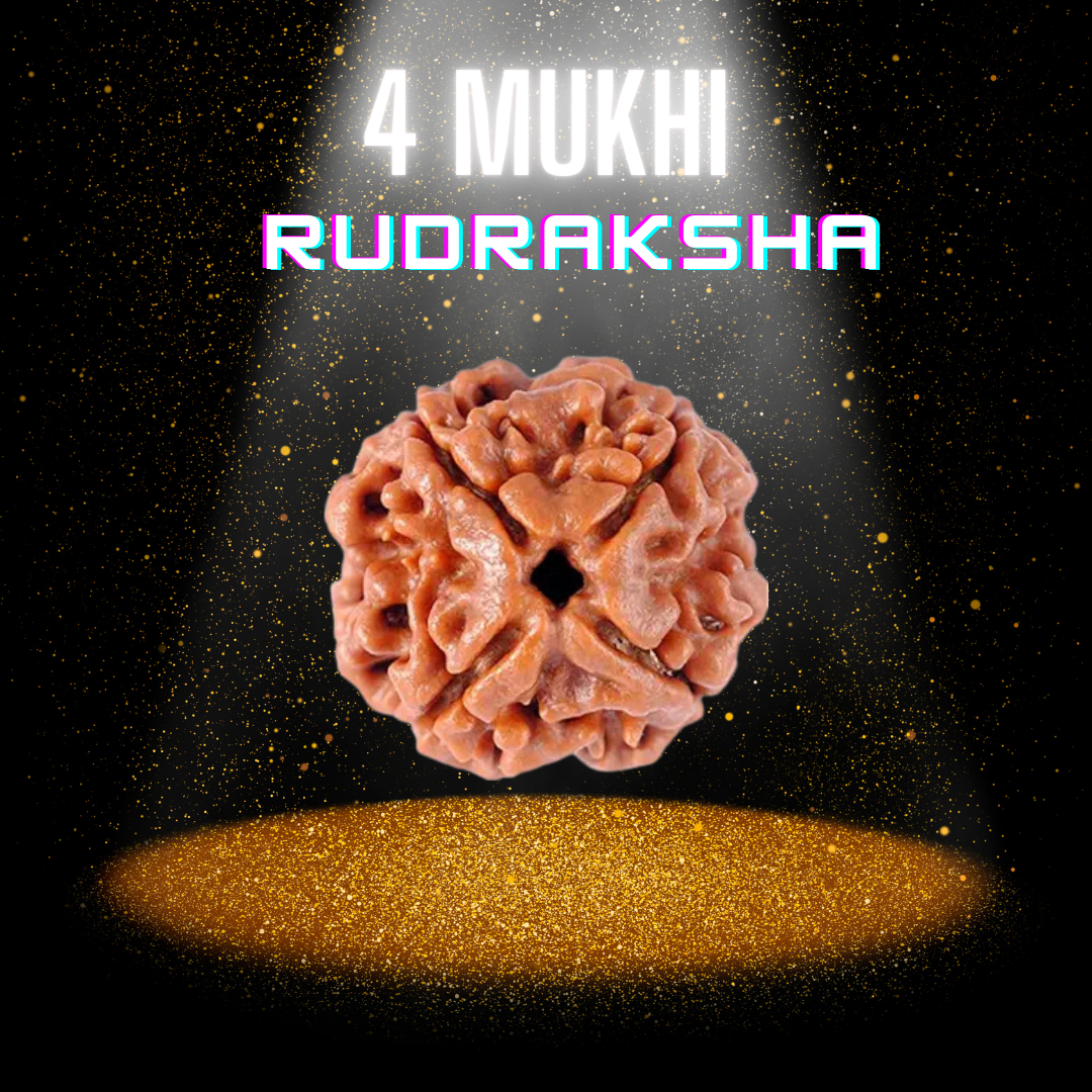 Natural 4 Mukhi Rudraksha - Genuine Spiritual Bead with Certification
