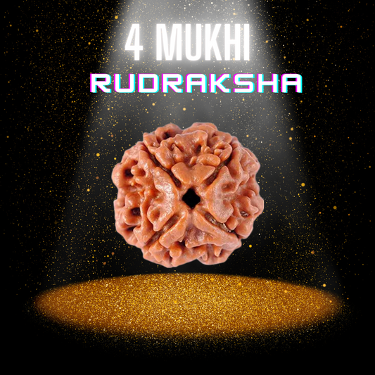 Natural 4 Mukhi Rudraksha - Genuine Spiritual Bead with Certification