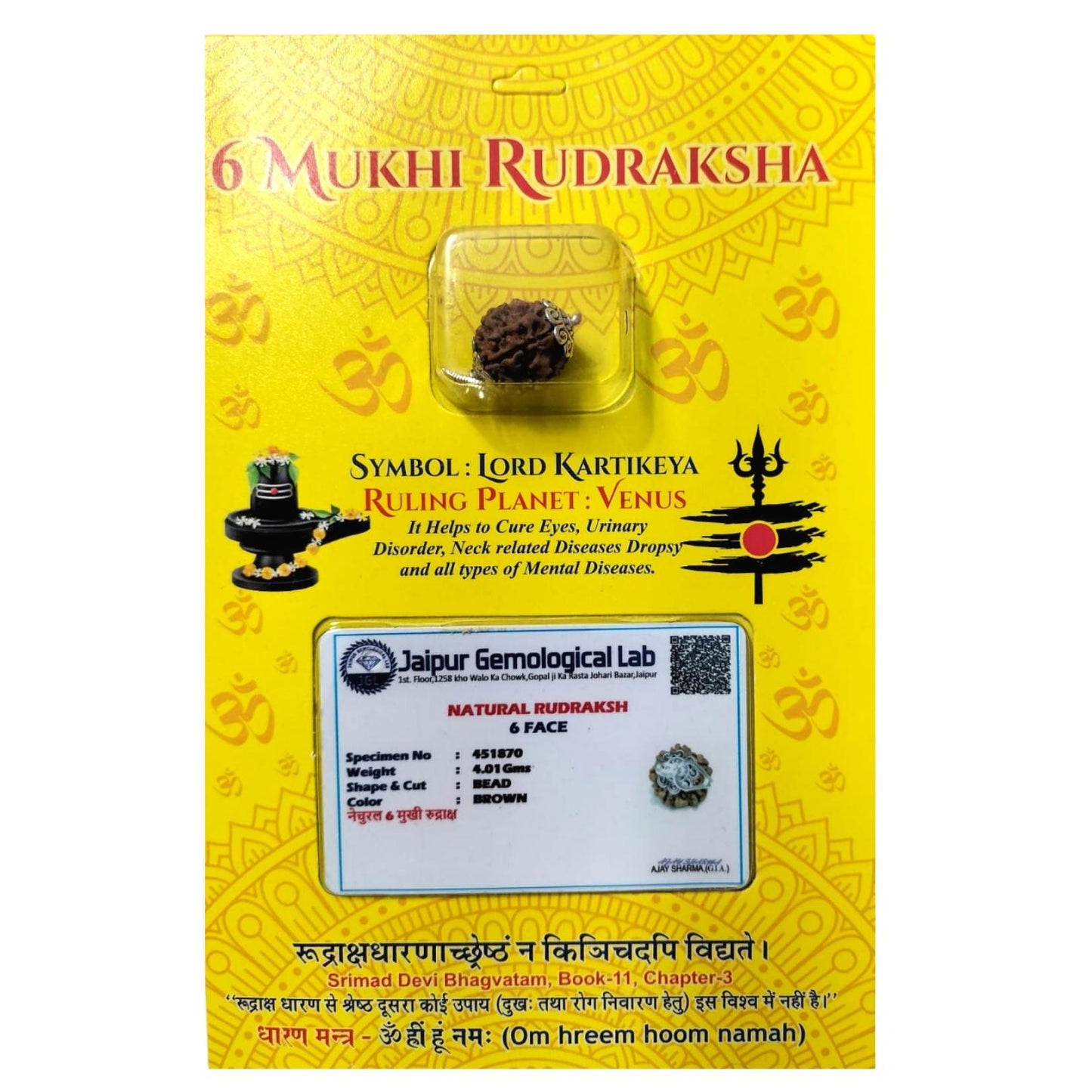 6 Mukhi Rudraksha - Certified Nepali Bead for Spiritual Balance