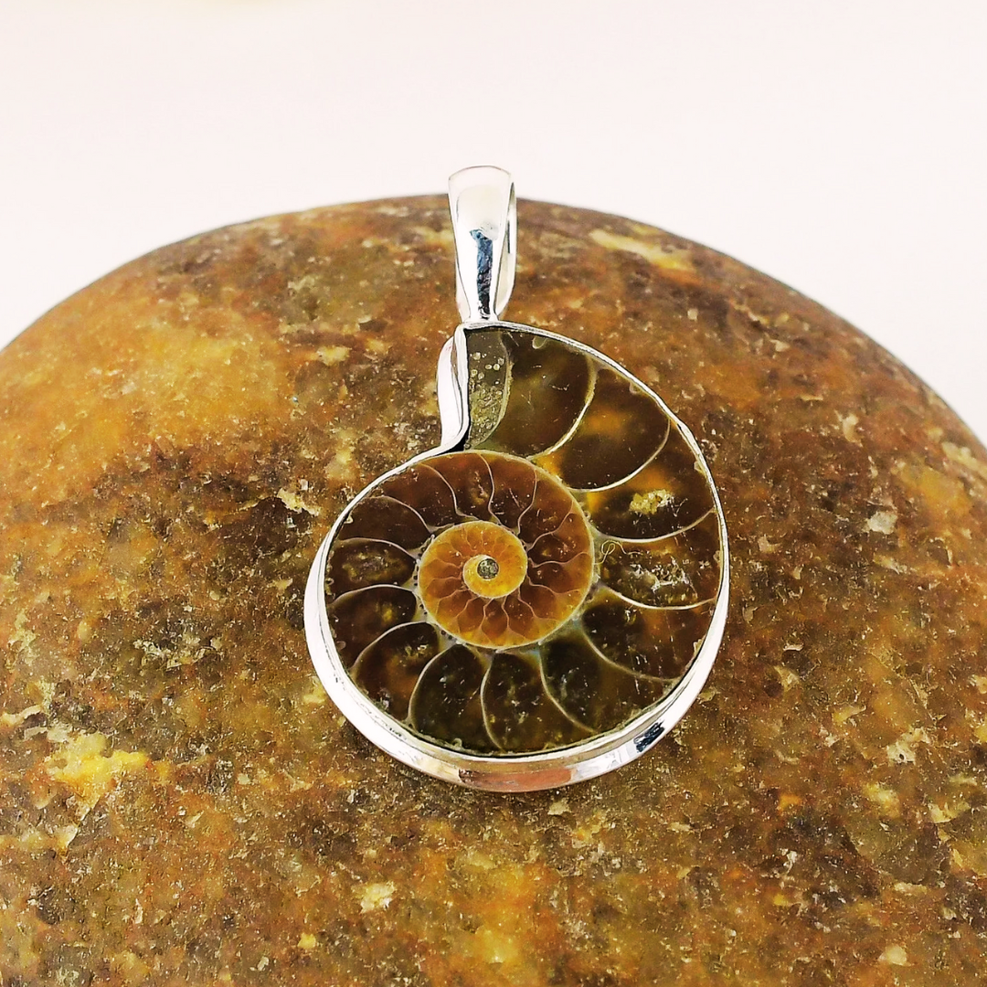 Ammonite Spiral Sterling Silver Pendant Necklace | River Gandaki, Nepal