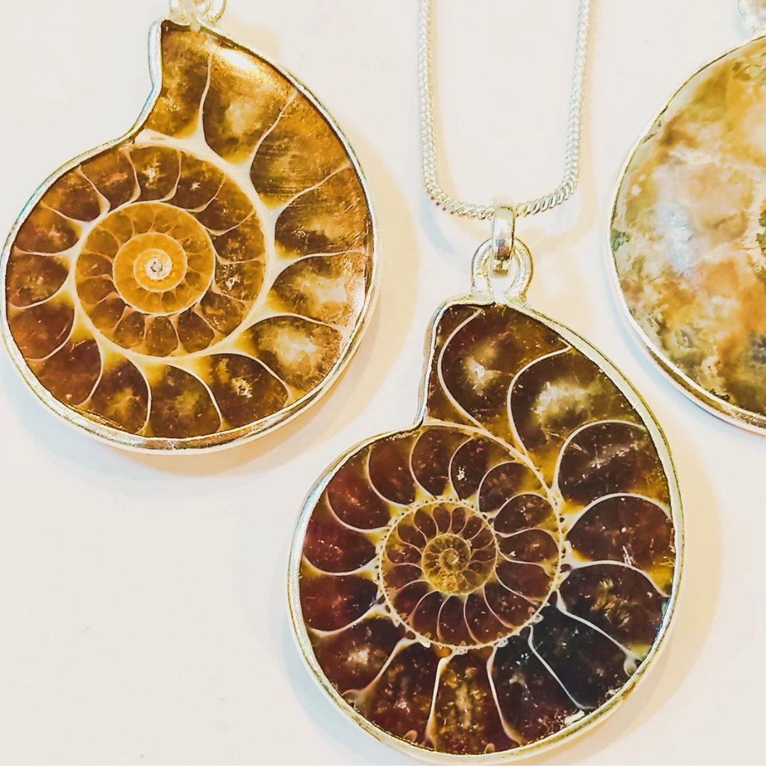 Ammonite Spiral Sterling Silver Pendant Necklace | River Gandaki, Nepal