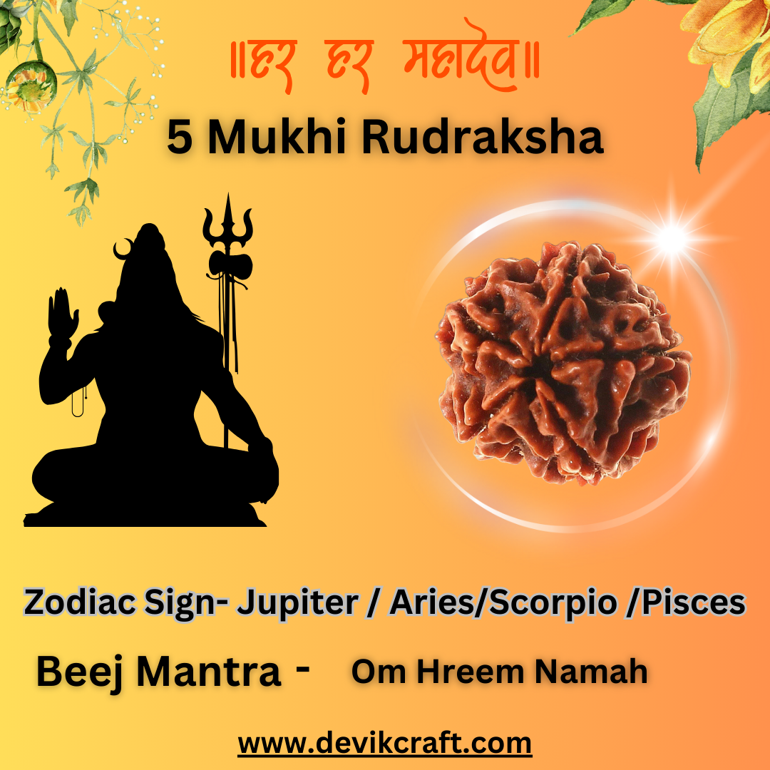 5 Mukhi Rudraksha - Certified Pure Siddha Bead