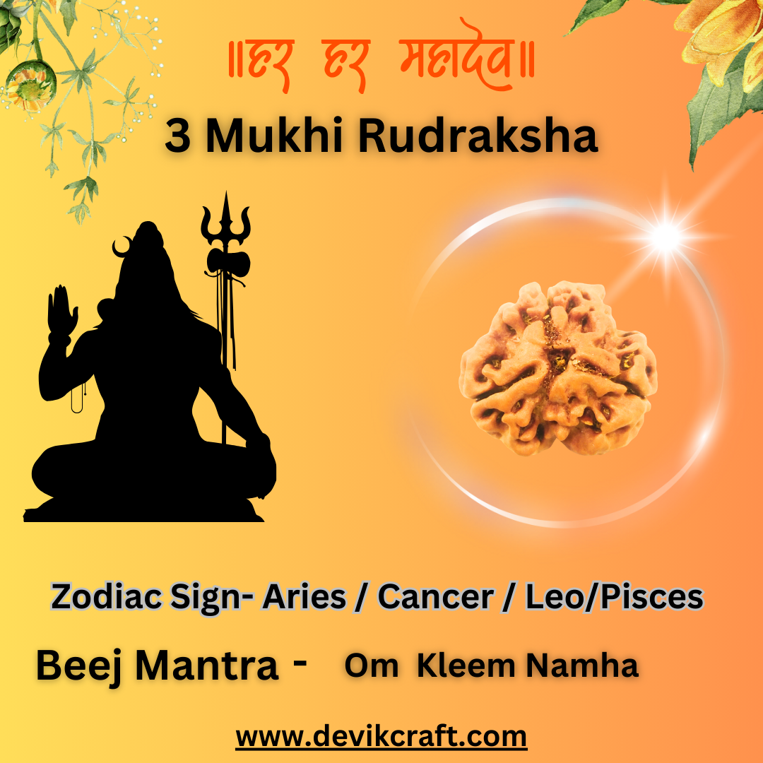 Magical 3 Mukhi Lab Certified Siddha Rudraksha - Enhance Spiritual Energy