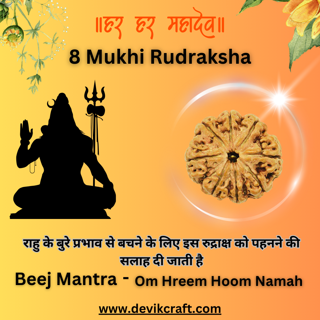 8 Mukhi Nepali Rudraksha - Spiritual Bead for Infinite Wisdom and Energy