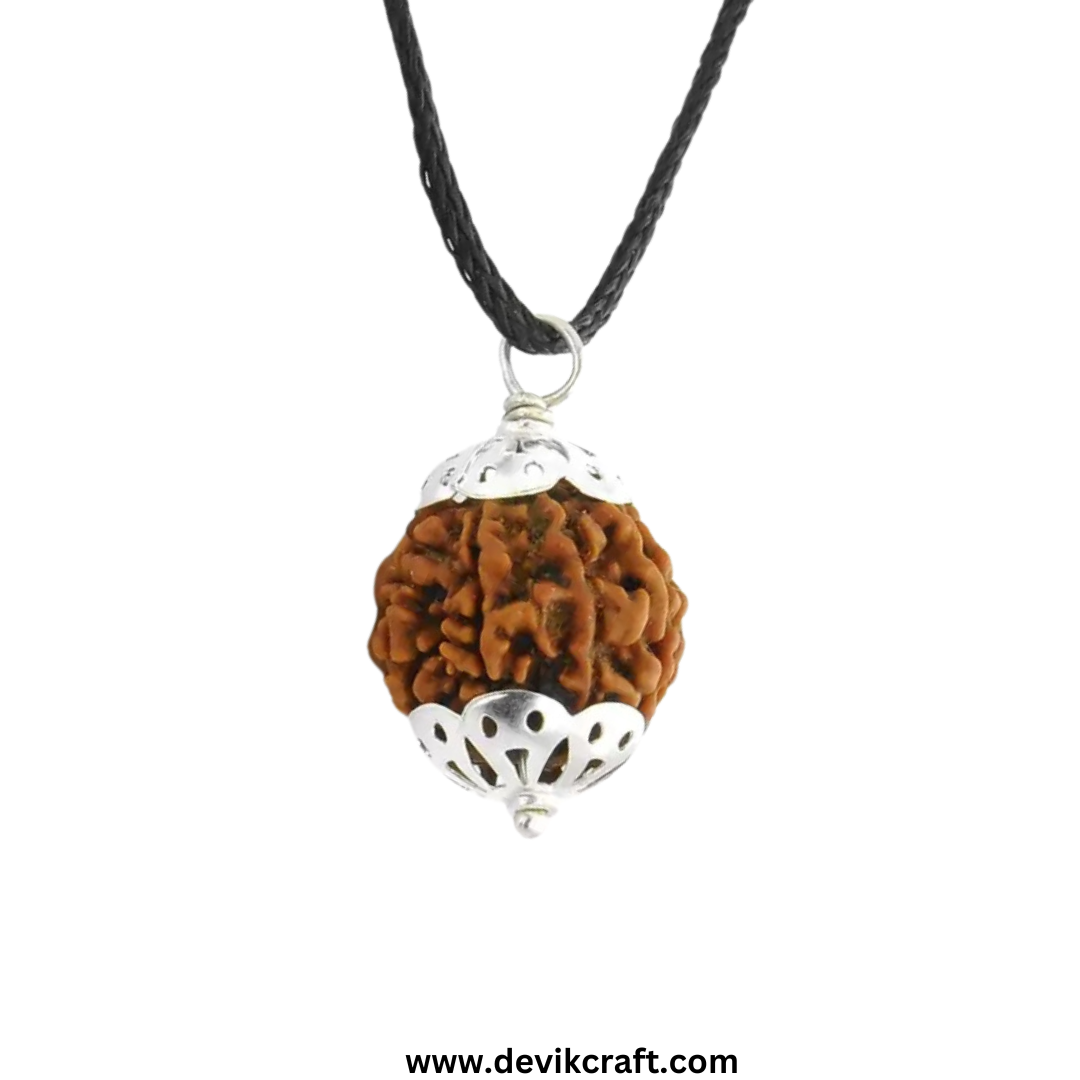 5 Mukhi Rudraksha - Certified Pure Siddha Bead