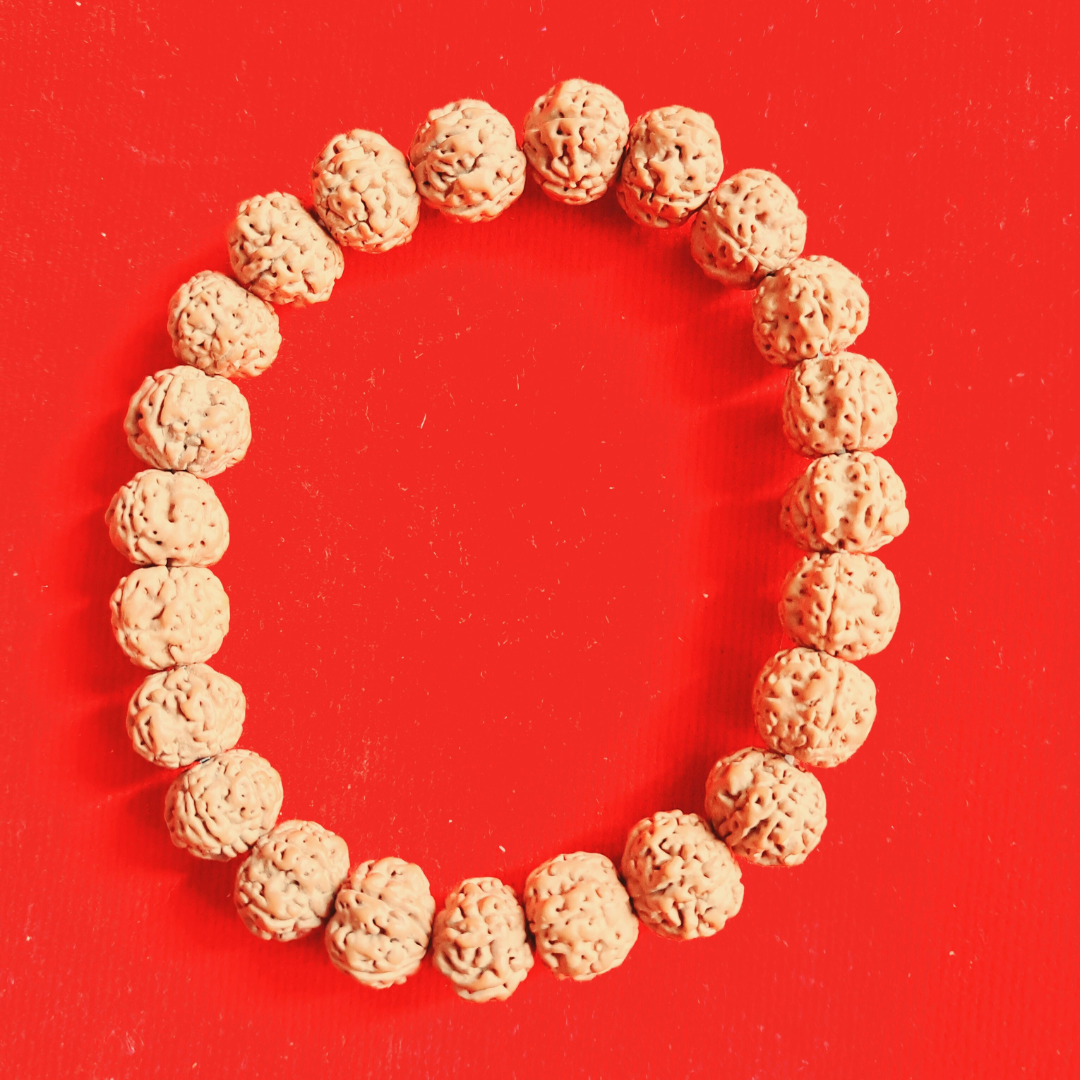Magical Narmadeswar Mala Energized Rudraksha Necklace with Free Bracelet