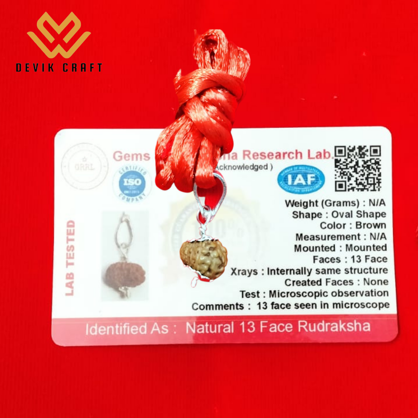 13 MUkhi Rudraksha Bead - Authentic Thirteen Face Rudraksh Java Bead Lab Certified