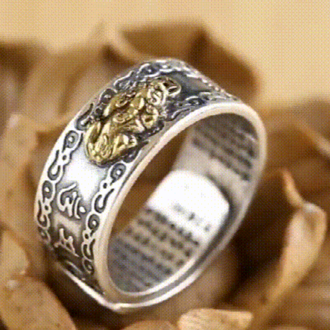 Amazon.com: Feng Shui Ring, Anillo Pixiu, 4/8PCS Feng Shui Pixiu Mantra Ring  Original, Adjustable Buddhist Heart Sutra Feng Shui Ring for Men Women  (4Pcs Gold) : Home & Kitchen