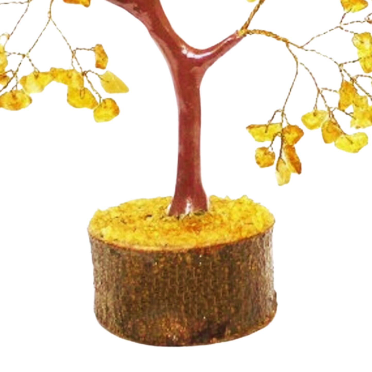 Magical tree