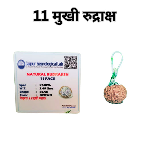 Certified 11 Mukhi Rudraksha Silver Pendant