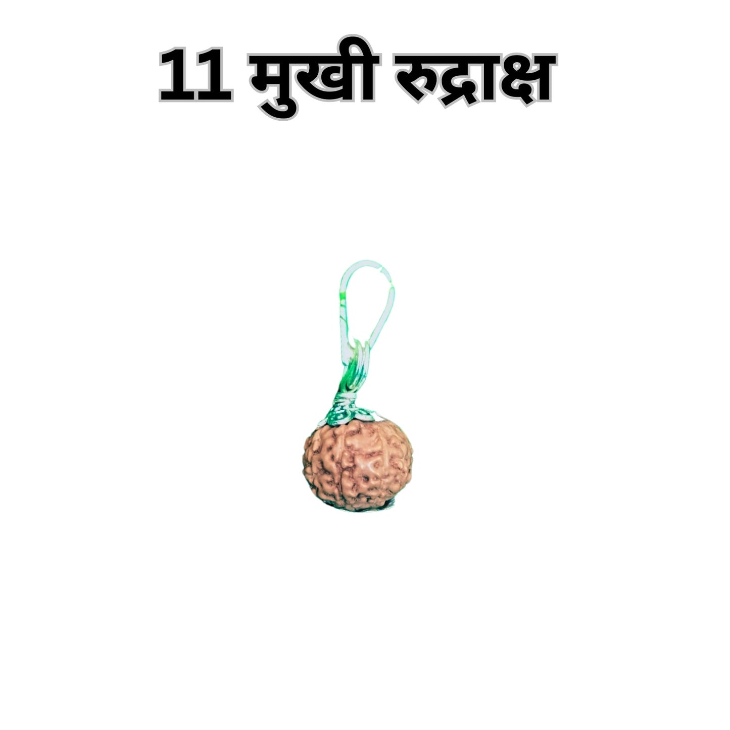 Certified 11 Mukhi Rudraksha Silver Pendant