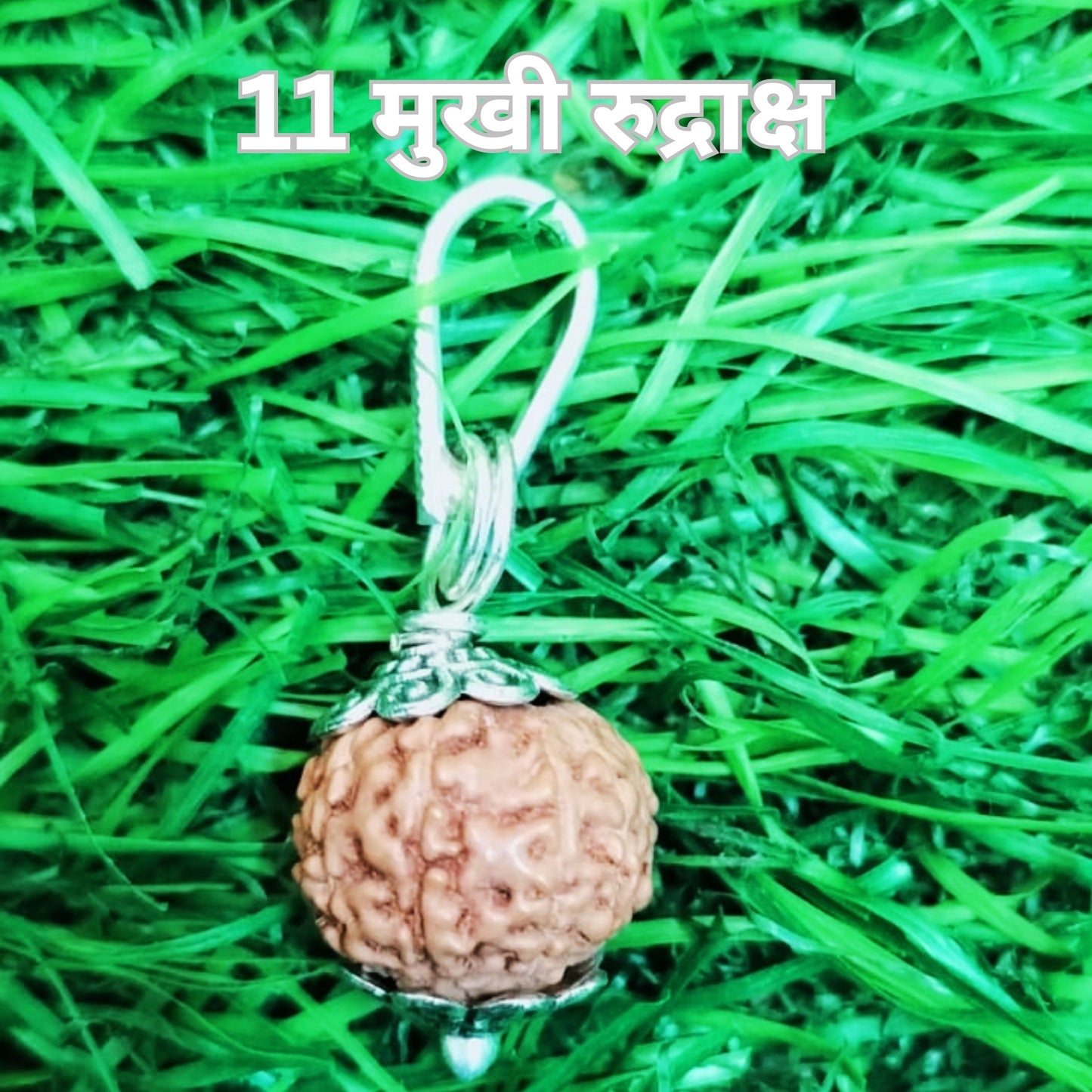 Certified 11 Mukhi Rudraksha Silver Pendant