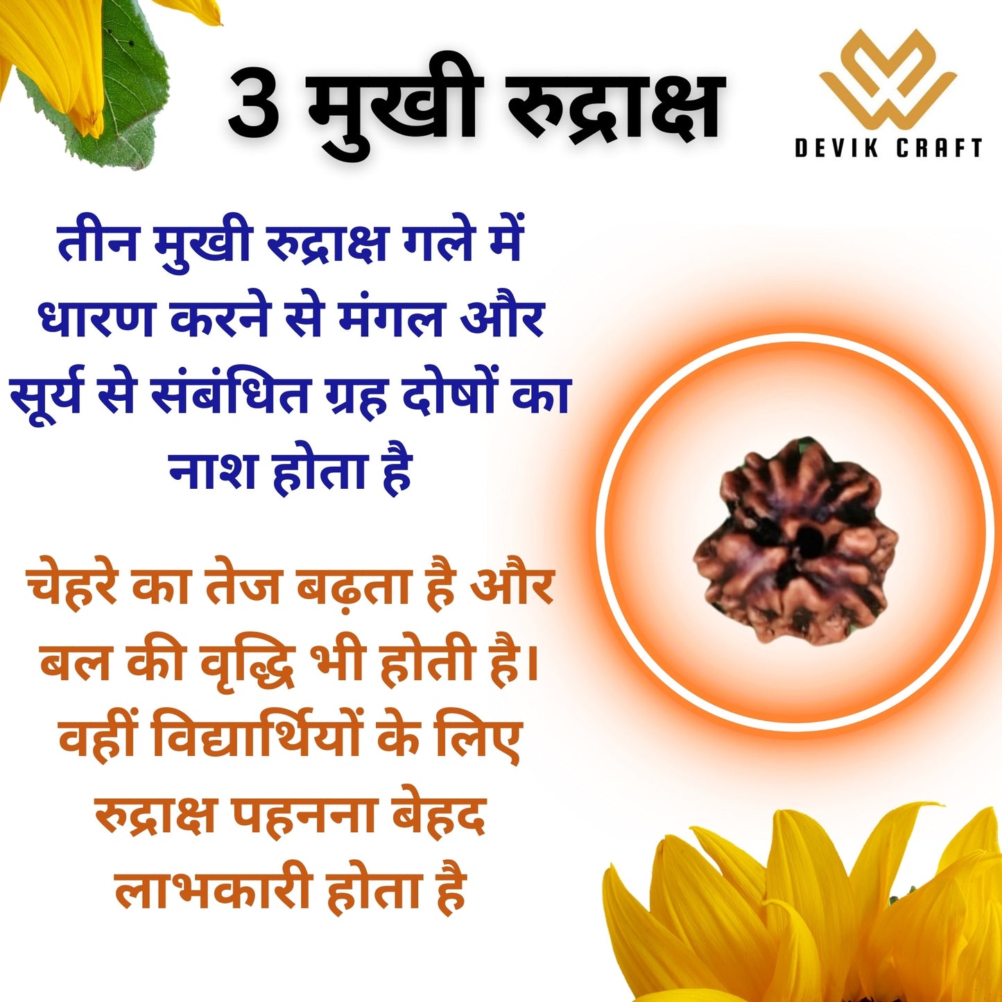 Magical 3 Mukhi Lab Certified Siddha Rudraksha - Enhance Spiritual Energy