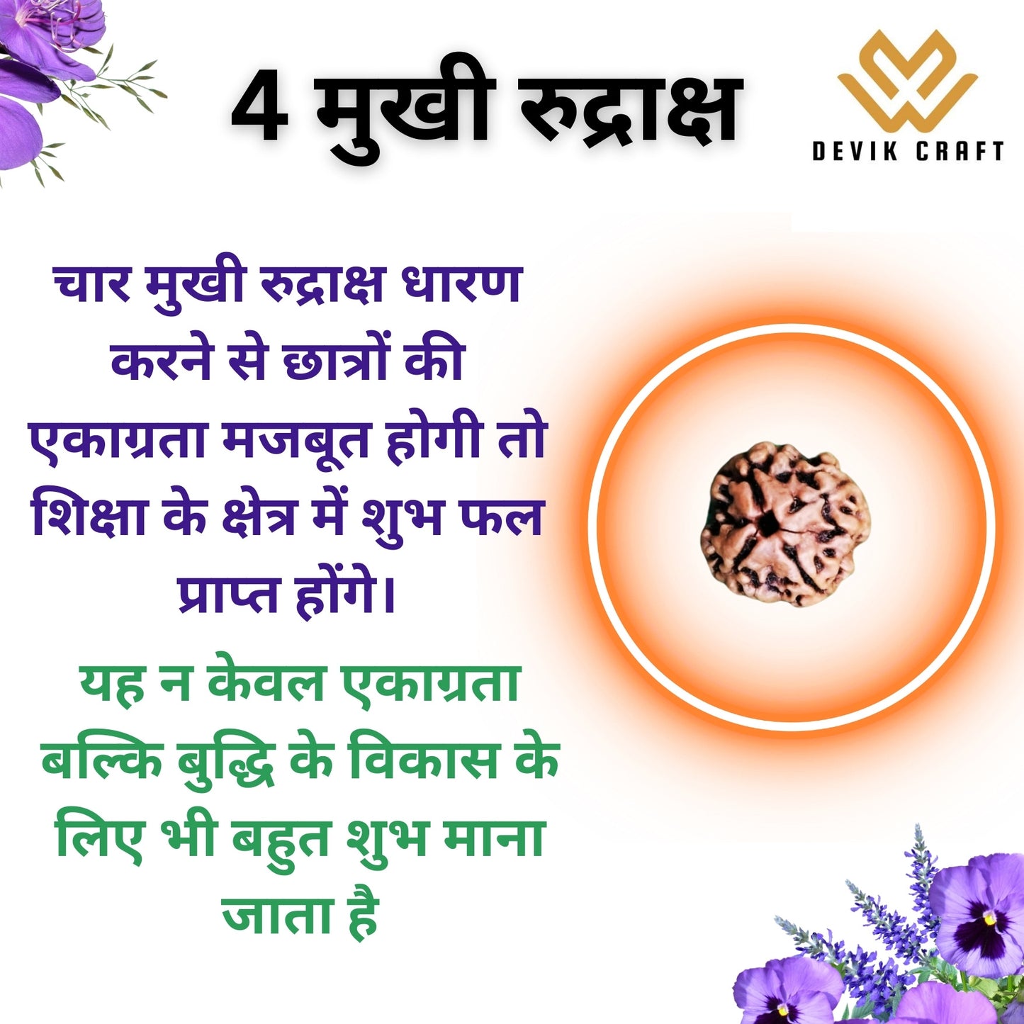 Natural 4 Mukhi Rudraksha - Genuine Spiritual Bead with Certification