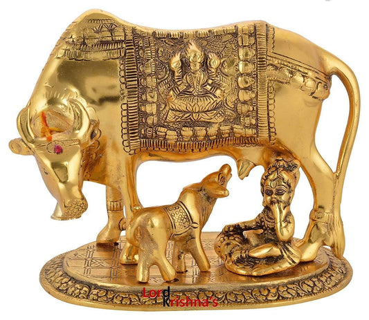 kamdhenu cow